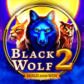 Blackwolf2 Slot Game by CardTime